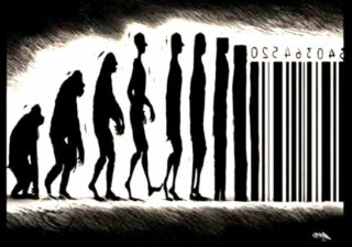 catinvest, catteau, consommation